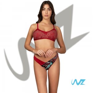 Bikini Effek Top e slip Americano Rough